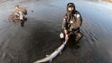 Fishing in Mongolia, pulling out a fish with parasites