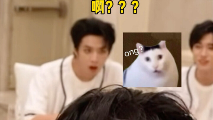 Lưu Diệu Văn hahaha