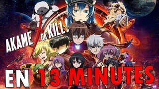 Akame ga Kill! EN 13 MINUTES | RE: TAKE