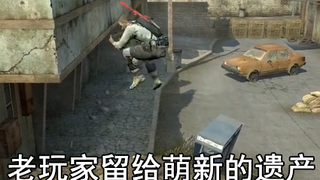 老玩家留给萌新的最后遗产
