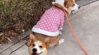 你别说，这事儿我能笑一年！