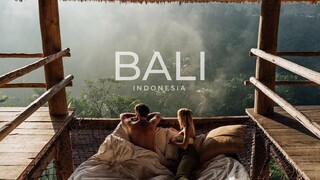 [Travel Video] [YouTuber Jack Morris] Romantic Bali with dog food is better to watch 1080P