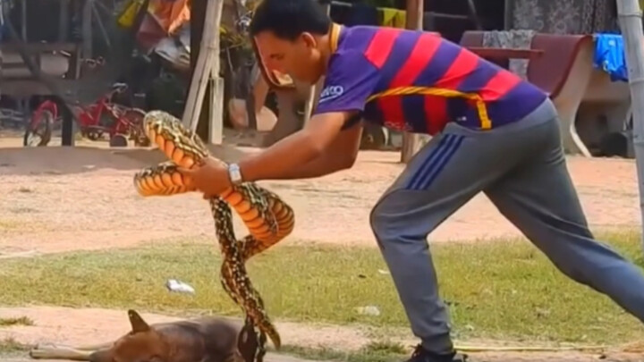 Penghargaan Perilaku Bodoh yang Lucu