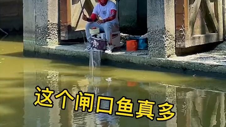 Cái cổng kiểm soát này đúng là đỉnh luôn