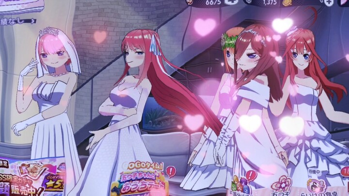 当她们五个穿着婚纱出来时眼泪就不争气的流了出来