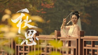 "Autumn Thoughts" Autumn at Luoyang Baiyun Mountain [4K Version]