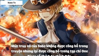 Top 6 Lệnh Truy Nã Mới Nhất Trong One Piece 2018 #1- 8