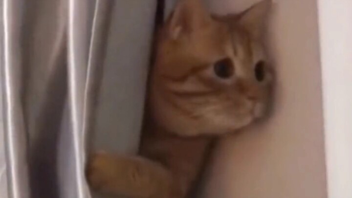 "Bagikan kepada orang yang imut dan lucu"