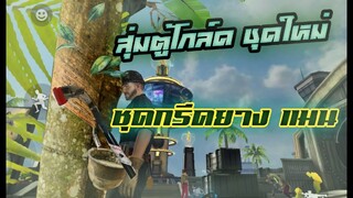 รีวิวชุดโกล์ดรอยัลใหม่ ชุดกรีดยาง