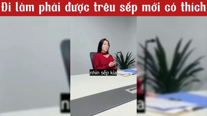 Đi làm cứ thích trêu sếp kiểu gì ý 😂 #haihuoc