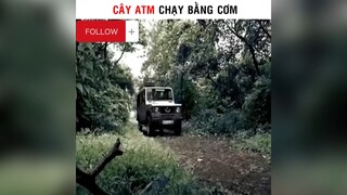 Cây ATM chany bằng cơm