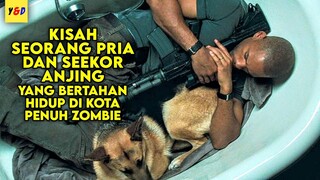 Bertahan Hidup Di Kota Penuh Zombie - ALUR CERITA FILM I Am Legend