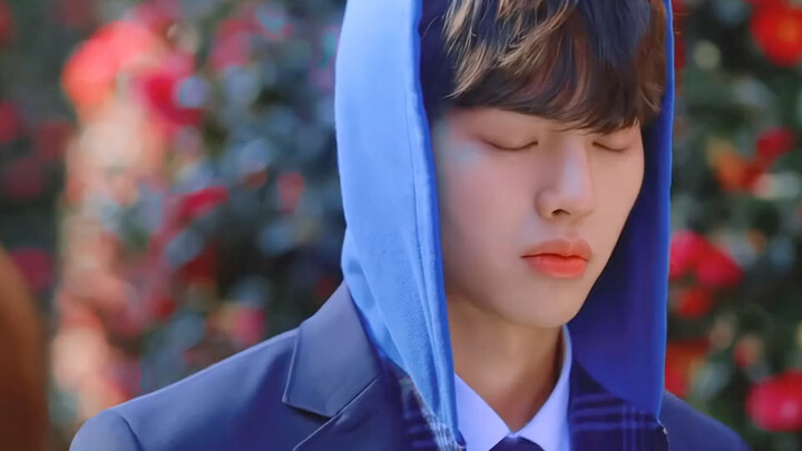 So that’s why, when you like someone, you just can’t help but praise them—falling in love is just so