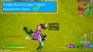 Forage Bouncy Eggs hidden around the Island