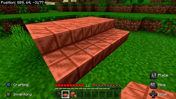 Trophie Minecraft Wax on, Wax off