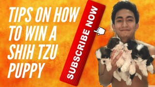 TIPS ON HOW TO WIN A PUPPY!