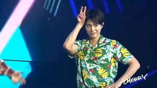 Park Bo Gum Dancing in Manila