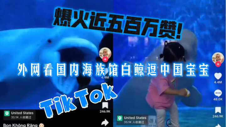 【TikTok】Going viral with nearly five million likes! On the international web, a beluga whale at a Ch