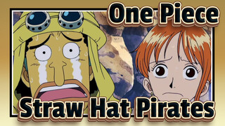 [One Piece AMV] Straw Hat Pirates's Lives on the Sea! (part 10)