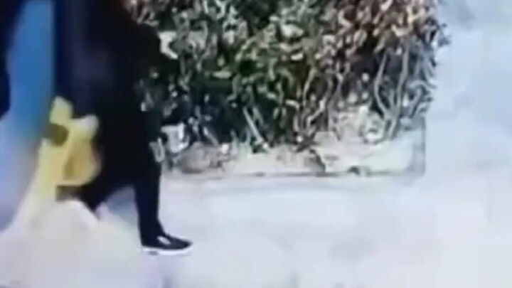 Chàng trai say xỉn nằm lăn ra bồn hoa ngủ ngon lành, đúng lúc một người đàn ông đi ngang qua và dừng