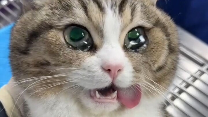 "Gently awaken the sleeping soul..."