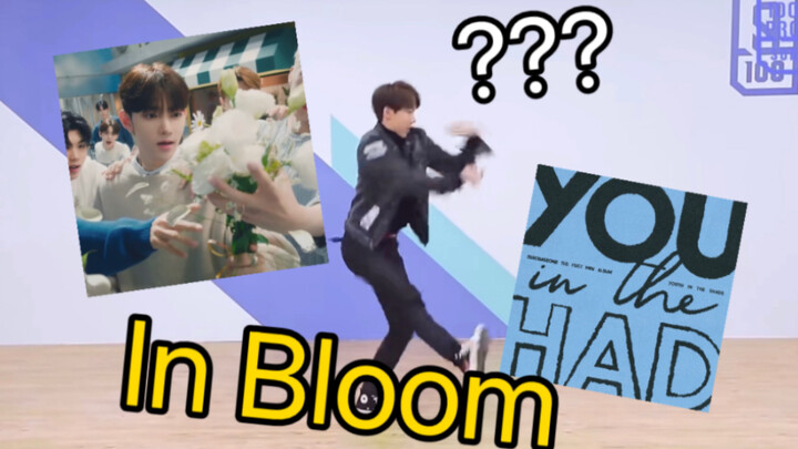 Đinh Trạch Nhân, nhưng ca khúc debut ban ngày In Bloom