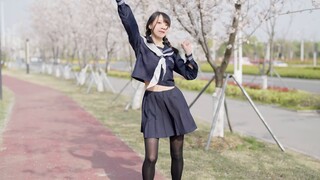 JK + Sakura = Nụ cười của bạn là đáng yêu nhất ~ 【Cocolo】