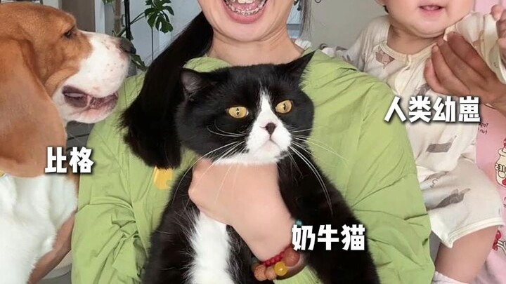 Raising a demon king is as easy as pie