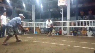 2 Cock Ulutan sa Salceda Arena. Night Fight WW. Champion