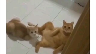 kelakuan si oyen