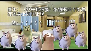 [猫meme}醒来时，一群医生围在我床边........