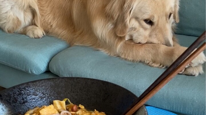 He really looks down on snail noodles.