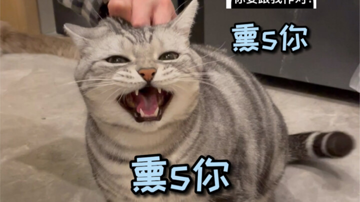 แค่เพราะขโมยกินต้นหอมแล้วถูกจับไปอาบน้ำล้างปาก ก็มีแต่น้องอันเซิงคนเดียวแหละ!