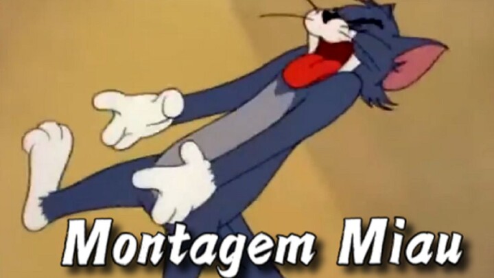 This Is the Original MV for “Montagem Miau”!