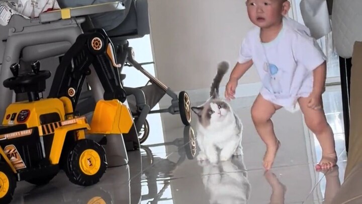 Cat: I won’t scratch you, bite you, or even tease you—I’ll just bump into you~