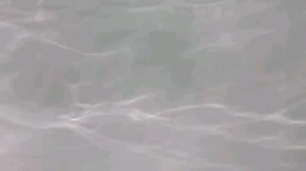 [Stress Relief] 10+ Ways to Use Balloons!