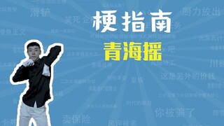 青海摇是什么梗【梗指南】