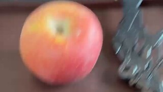 Aku bilang ke temanku kalau aku sedang mengerjakan jendela atap, tapi dia mengabaikanku...