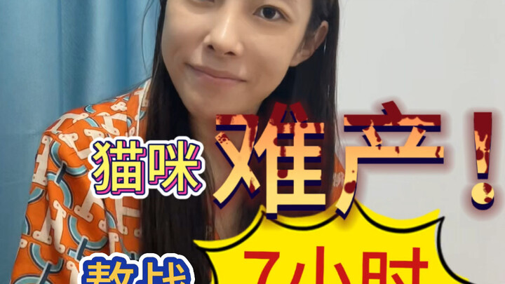 猫咪难产，这波看我喵手回春，熬战7小时，最终战绩7-0！