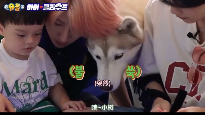 Is Kim Min-gyu really not you?
