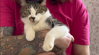 إعلان مسبق عن فعالية التبني في معهد ماو ده بشنغهاي