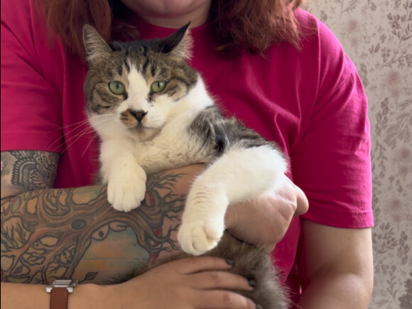 Thông báo về sự kiện nhận nuôi tại Thượng Hải của Học viện Mèo Đức