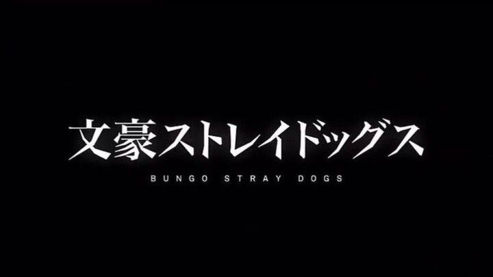 Bungo stray dogs [AMV]
