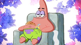 "Semua bintang laut terlahir bodoh dan bodoh"