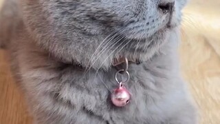 LUCUAN YANG MANA BRO😑😂