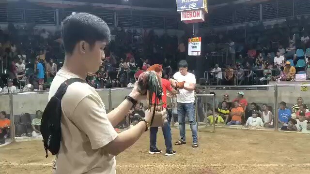 Sweater Boston 2nd fyt Champion 🏆