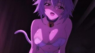 [AMV|IS]Infinite Stratos|Animals