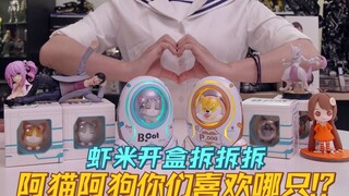 怎样的一块肥皂!?...竟会让人看到就忍不住想捡！！！【开盒拆拆拆】