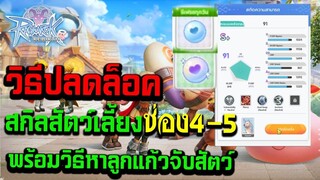 Ragnarok : Rebirth วิธีปลดล็อคสกิลสัตว์เลี้ยงช่อง 4-5 พร้อมวิธีหาลูกแก้วจับสัตว์