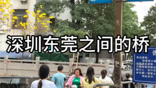สะพานที่เจ้าของบ้านในเซินเจิ้นต้องการจะรื้อถอนมากที่สุดคือสะพานที่เชื่อมระหว่างเซินเจิ้นและตงกวน